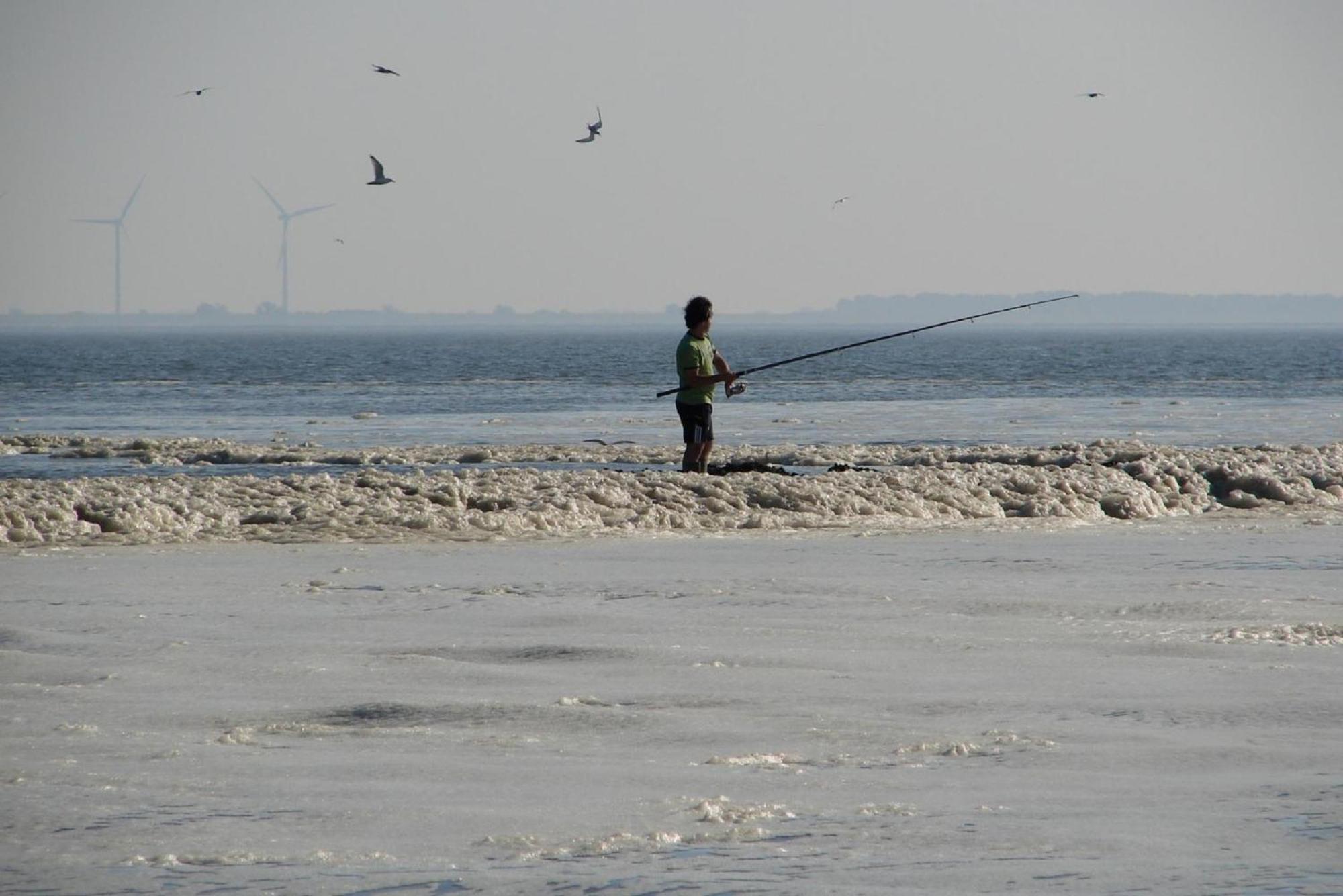 Do's * Baarland