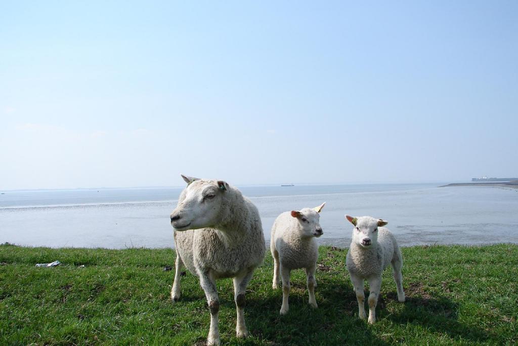 Do's Baarland
